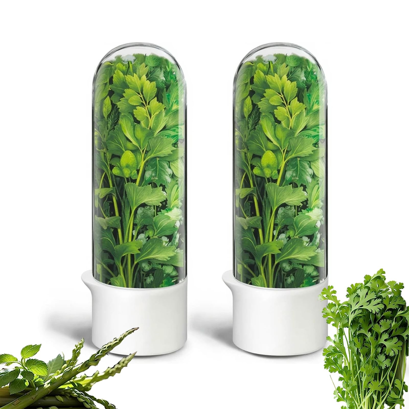 Herb Saver for Refrigerator, 10 inches (L) x 3 (H), Keeper(2Pack)
