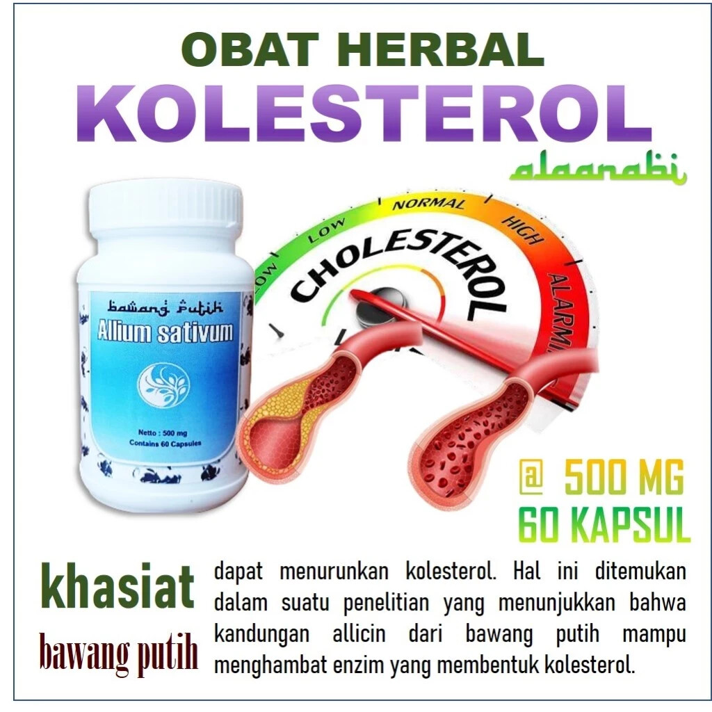 Garlic Natural Organic Herbs Spices Fresh Pure Hygienic Premium Original