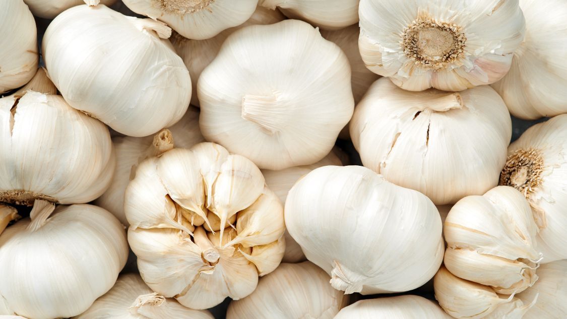 Garlic Bulbs Seeds Hardneck Organic Planting Heirloom Home Vegetable Garden