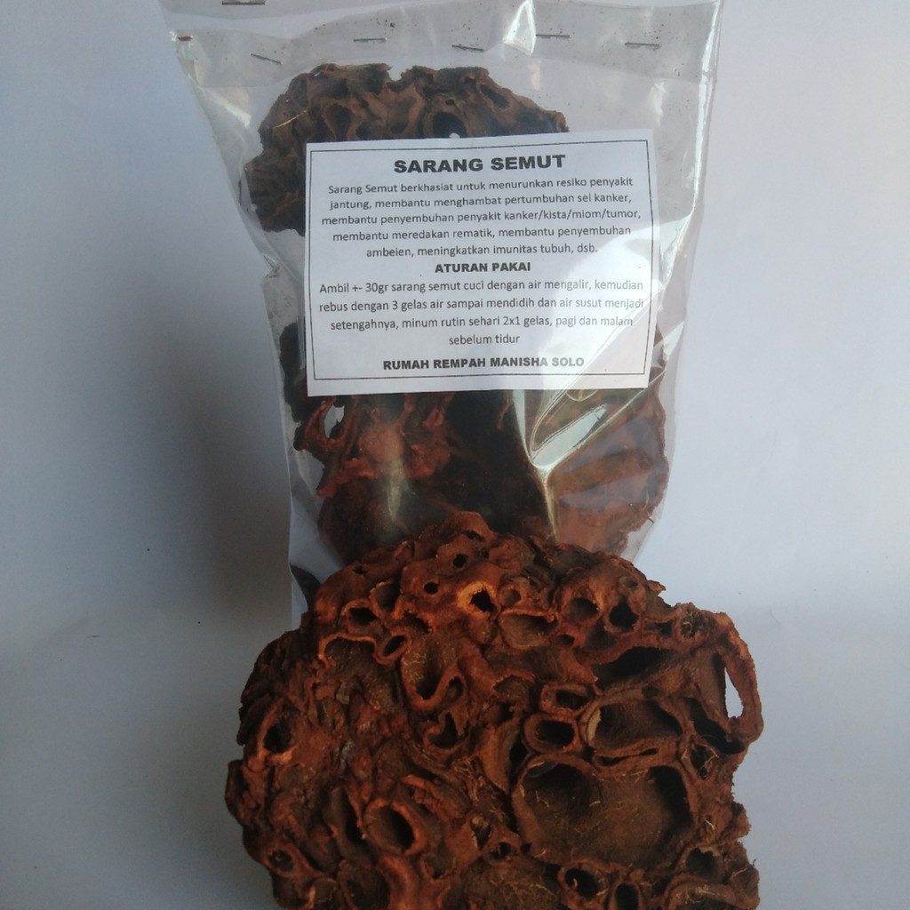 Sarang Semut Papua 100g Wild Dried Chunk Indonesian Botanical Tea