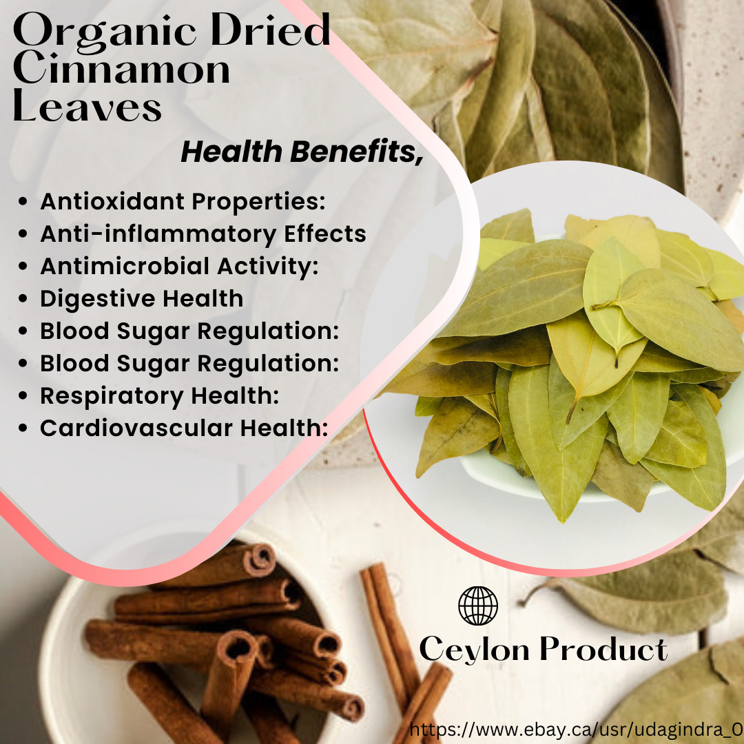 Organic Dried Cinnamon Leaves Pure Natural Herb Healthy Spices Whole (25 Leaves
