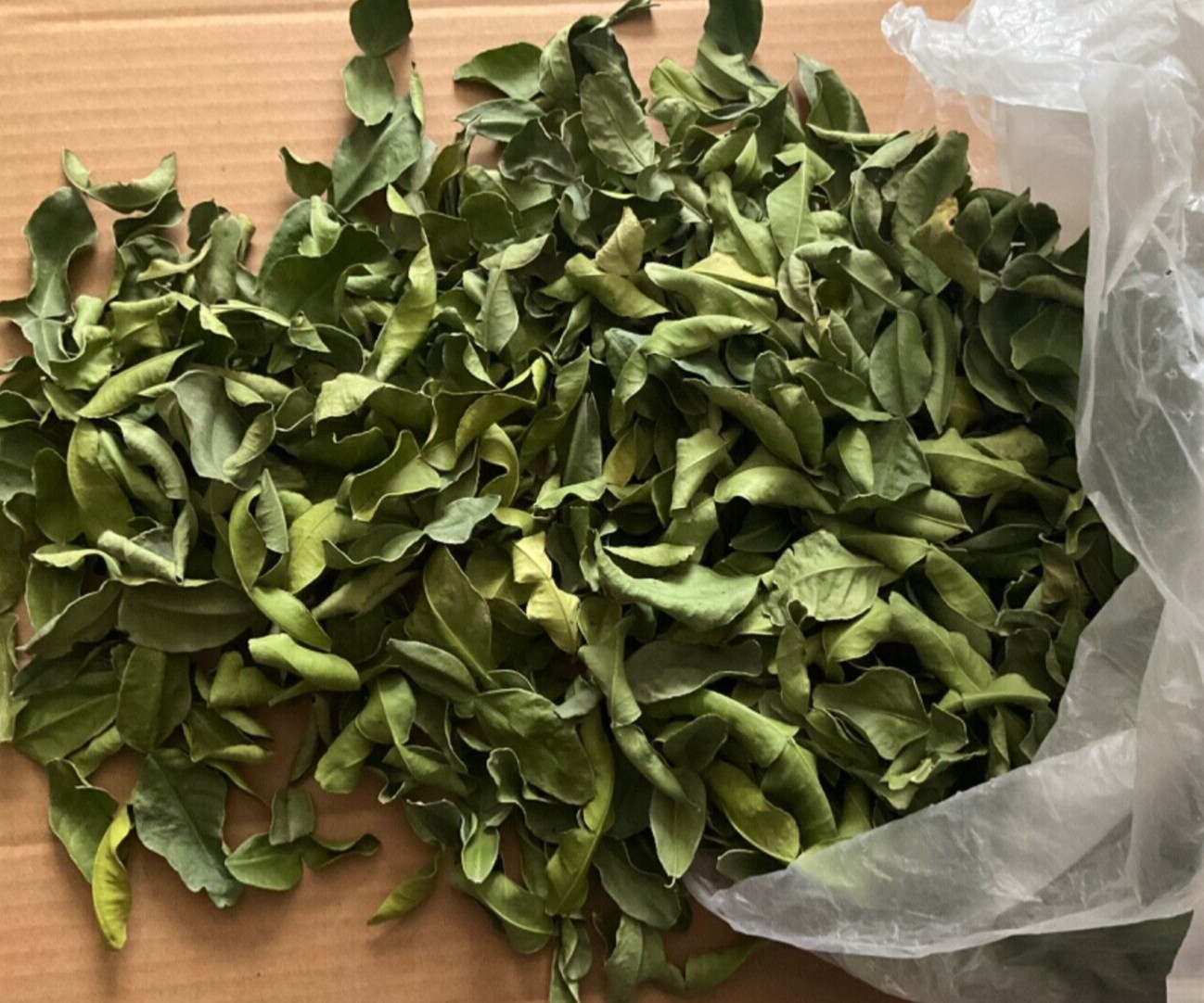 Dried Organic Kaffir Lime Leaves | Harvested and Cold Dried at Home in USA