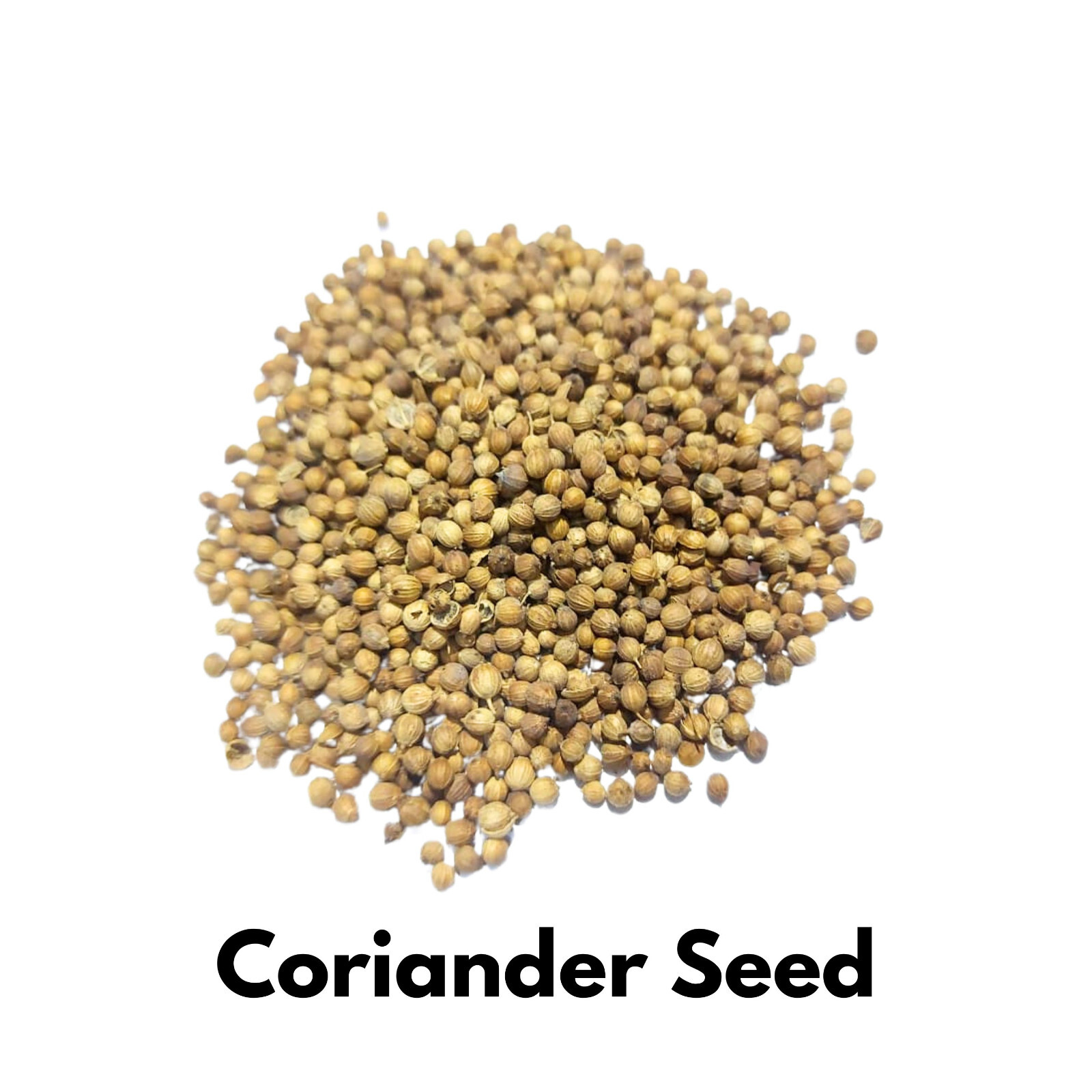 Coriander whole seeds 100% Natural Herbal spices premium quality From Sri Lanka