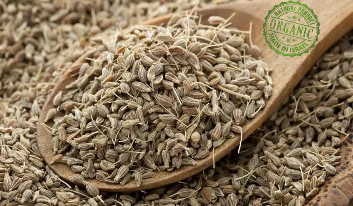 Premium Quality Anise Seeds Fresh Whole Seed 8 Oz Ground Anis Organic Aniseed