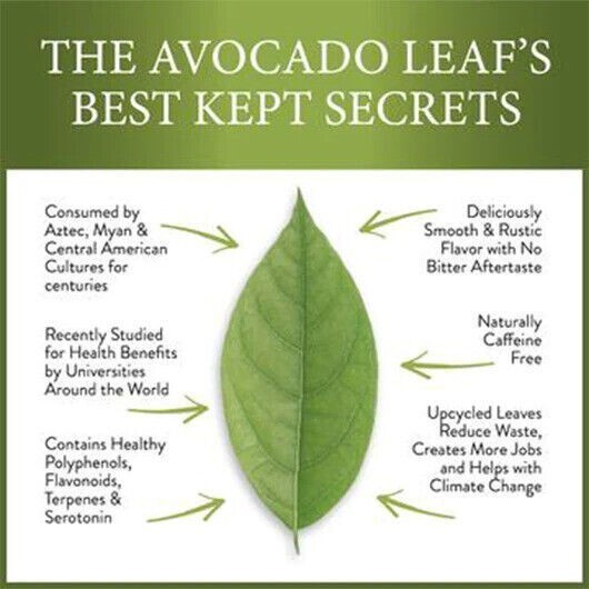 Organic Natural Dried Avocado Leaves 30+ (hojas de Aguacate) 100% Ceylon