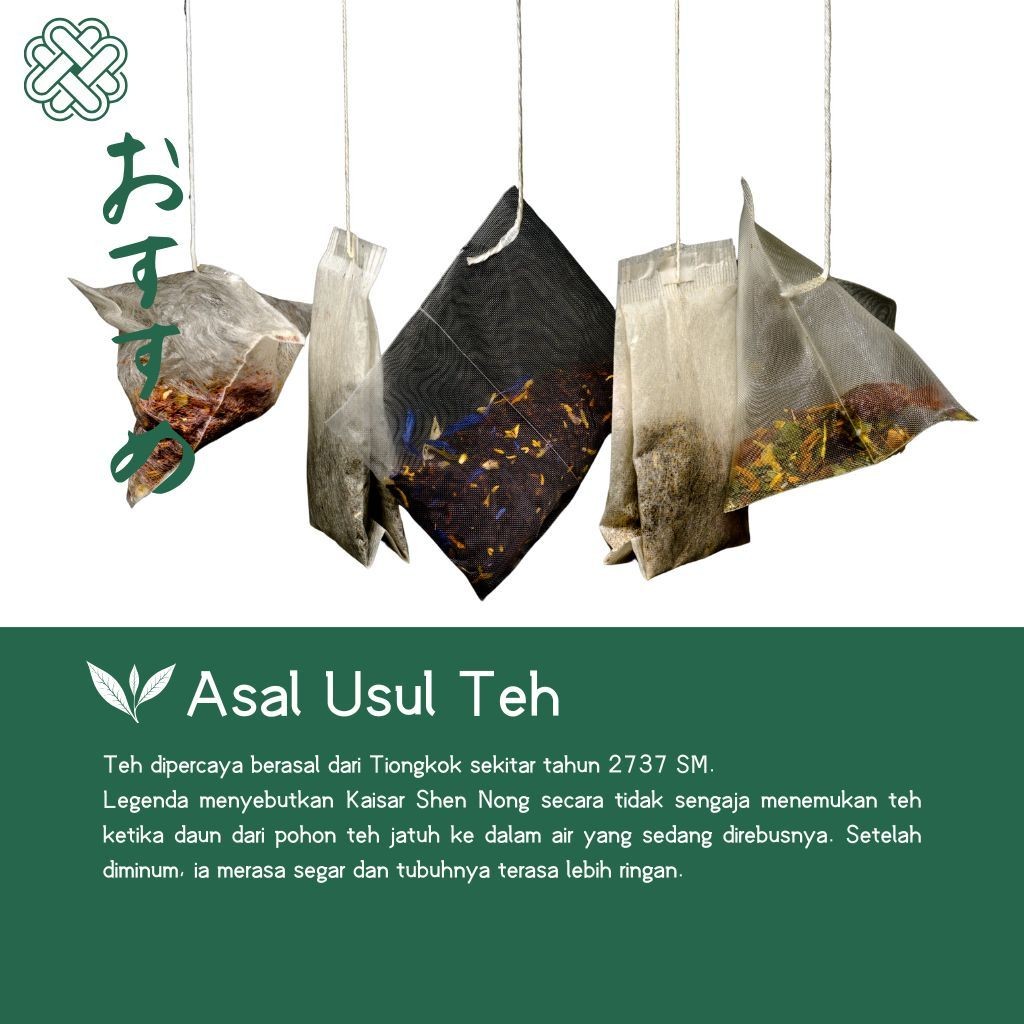 Kumis Kucing Leaf Herbal Infusion Blend 20 Tea Bags Botanical