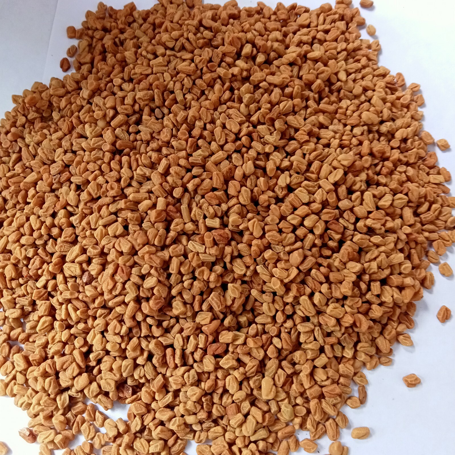 Premium Ceylon Organic Fenugreek Whole Seeds Spice Homemade New 50g