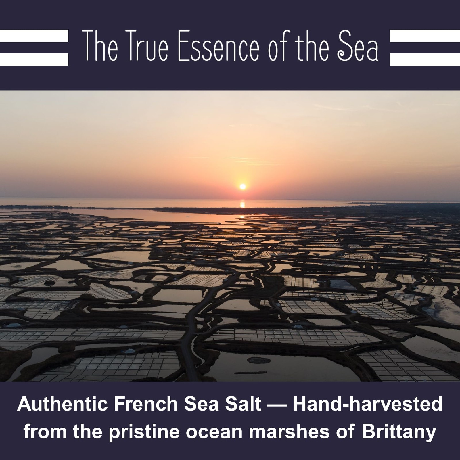 French Sea Salt Extra Fine, 8.81oz – 0.6lb. Celtic Salt Organic 100% Natural,…