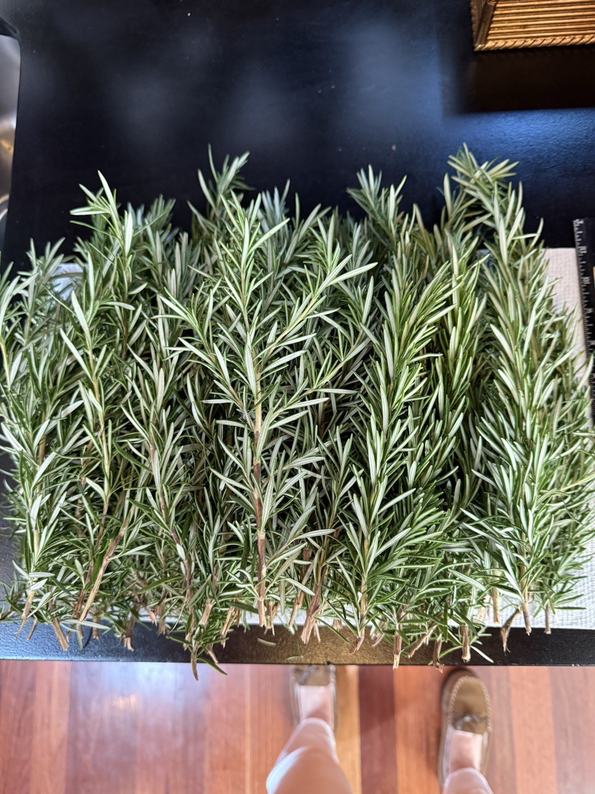 100 Stems Fresh Organic Rosemary, 100 Cuts Fresh To Order For $90.00,USA