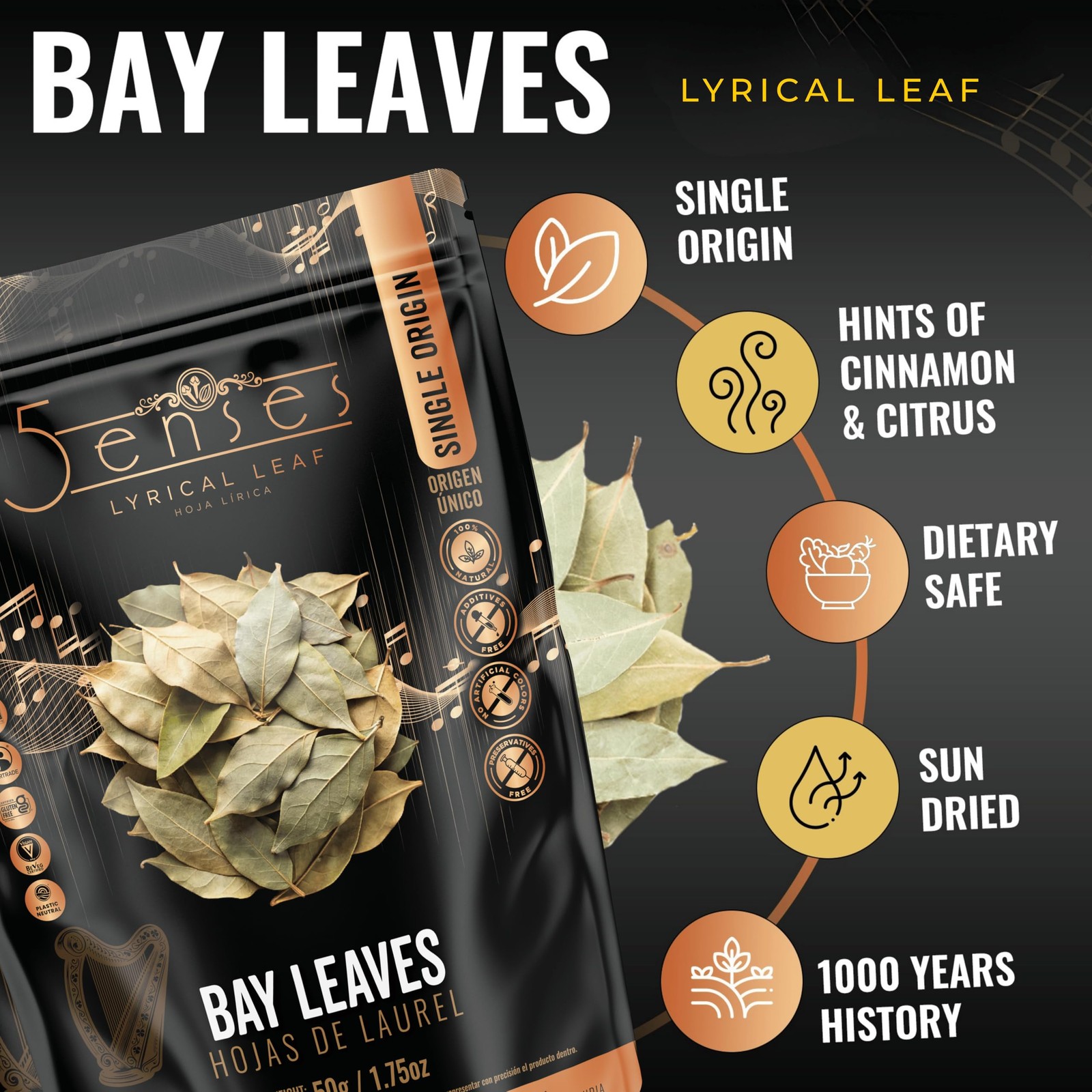 5Senses Whole Bay Leaves | Hojas de Laurel, Laurel Herbs | 50 Gram/ 1.75 OZ