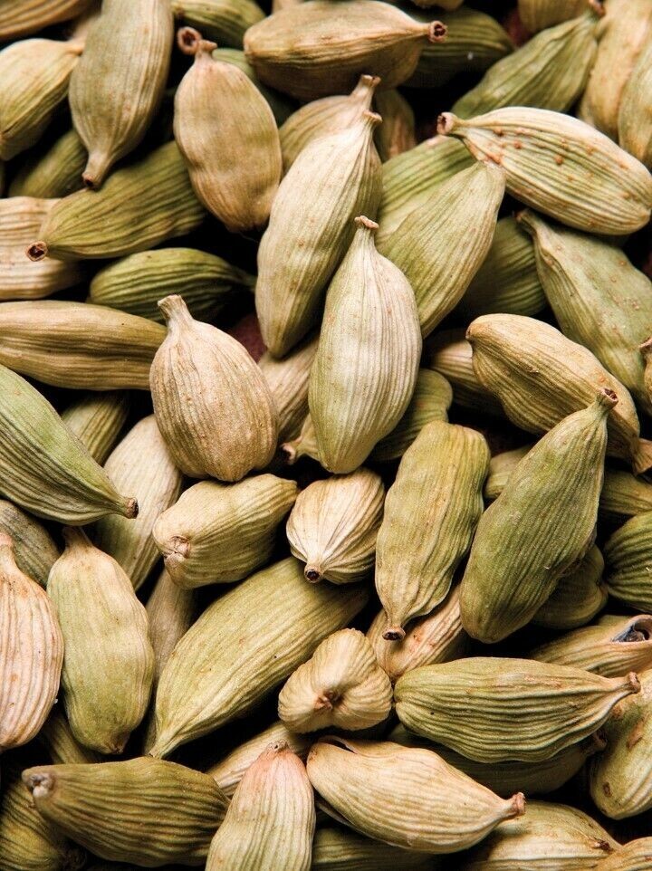 Organic Green Cardamom Pods Ceylon Fresh Spice Premium Quality Grade A 0.88 oz