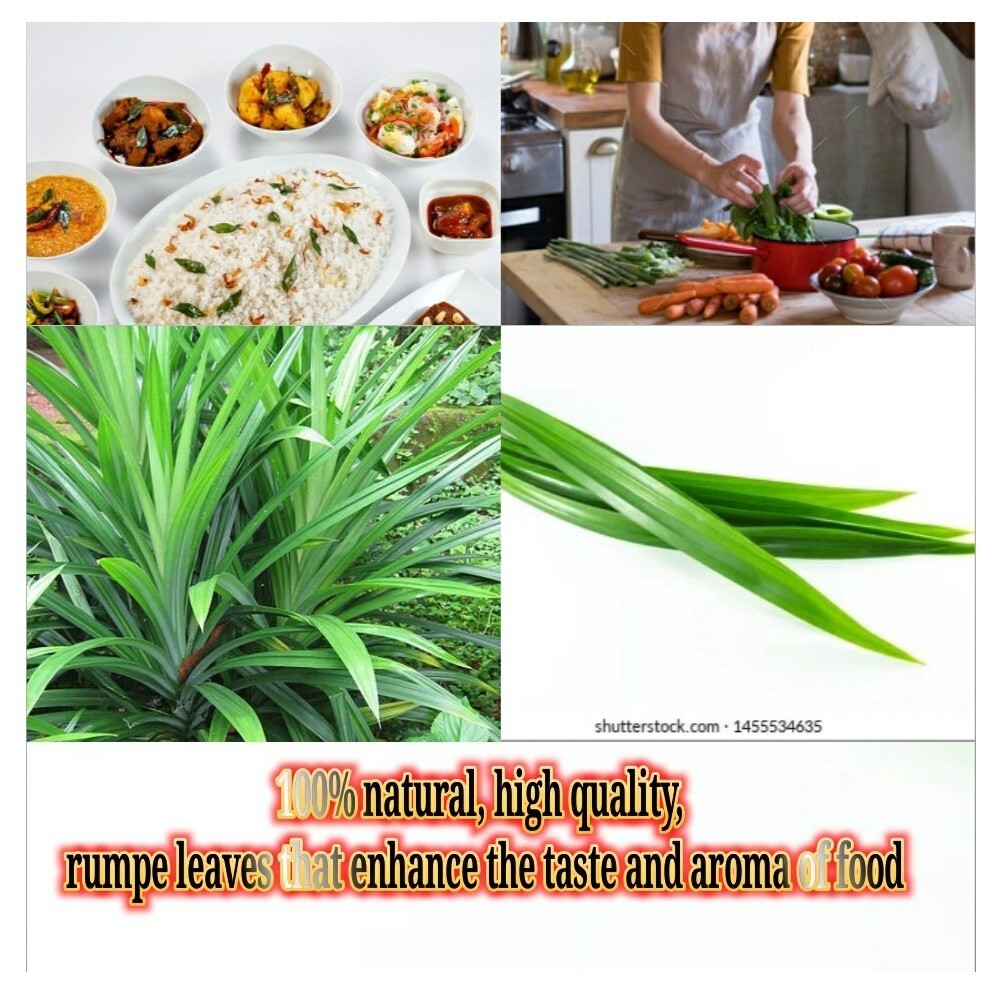 100% natural high quality rumpe leaves that enhance the taste and aroma of food