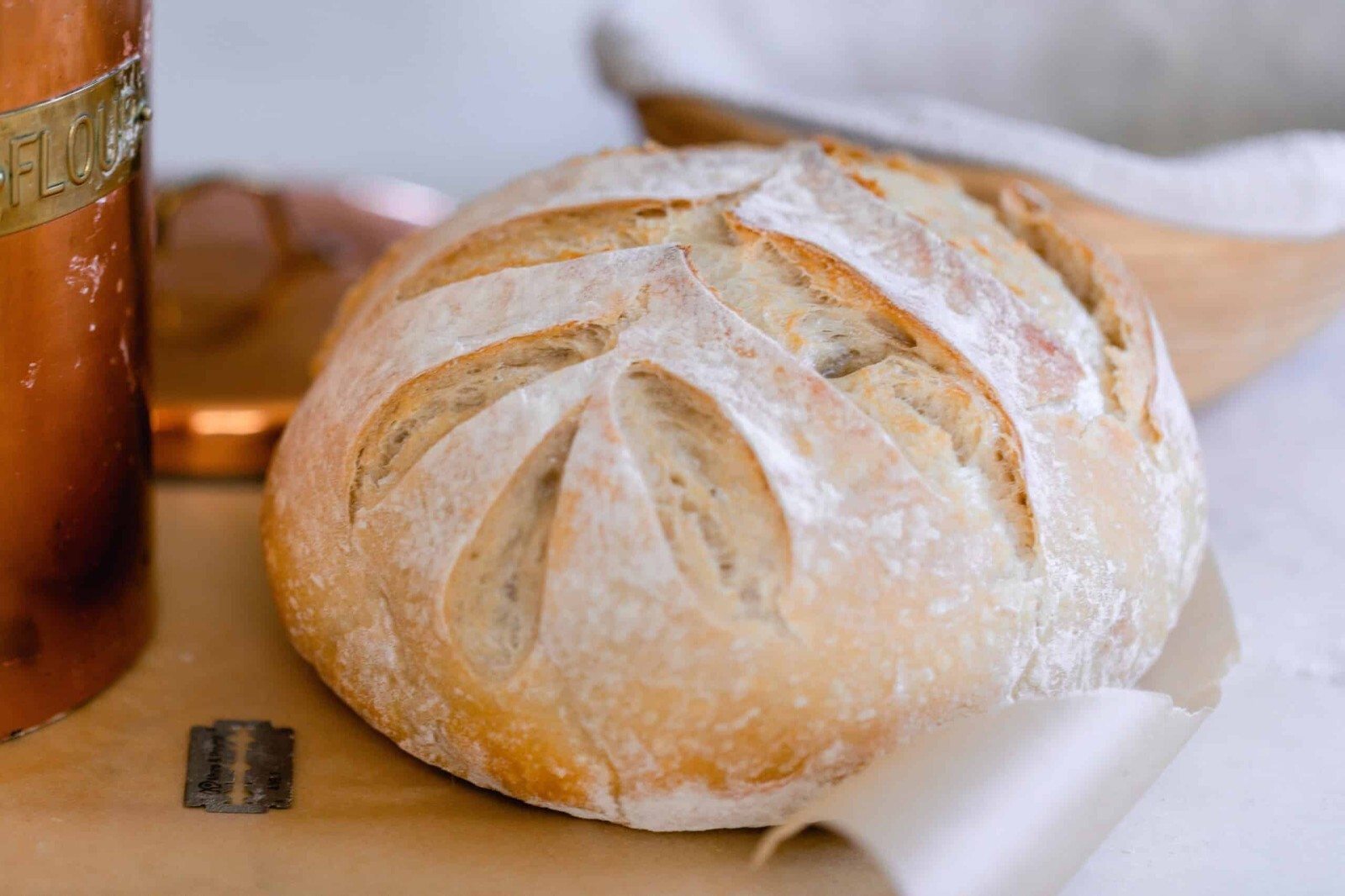 Sourdough Starter San Francisco Heritage Dehydrated Organic – 15 Gram Bag