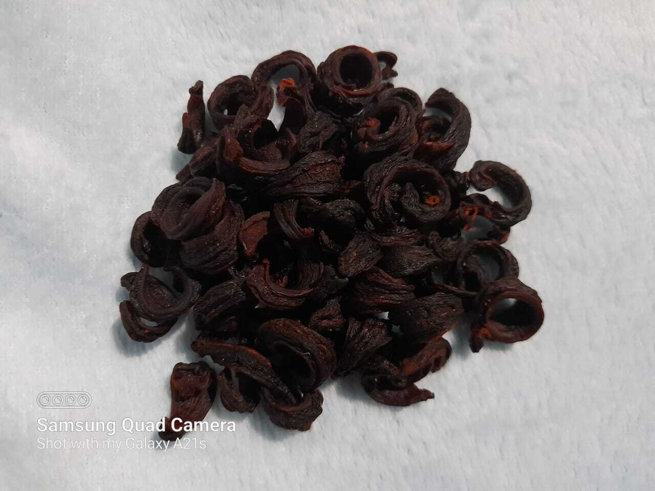 Garcinia cambogia fresh dried ceylon goraka natural weight loss fat burn help