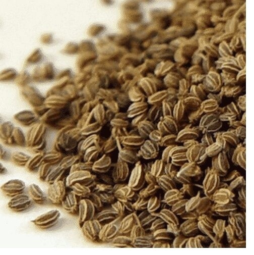 Celery Seeds Top Quality Bulk Best Price -200g 1kg 2kg 5kg 10kg