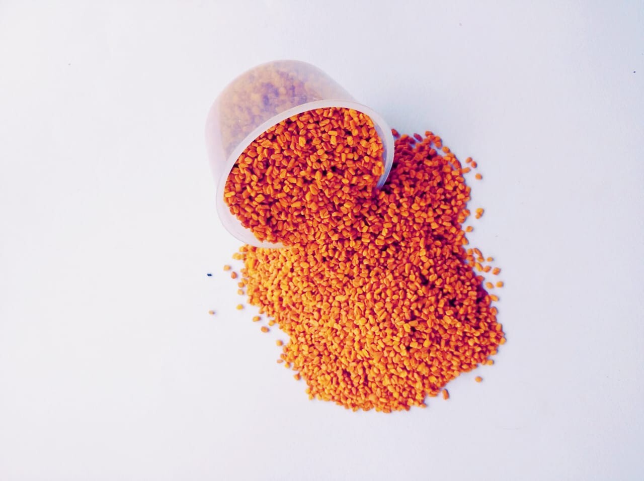 Fenugreek Seed Ceylon Herbal Organic Fenogreco Powder Trigonella Foenum Graecum.