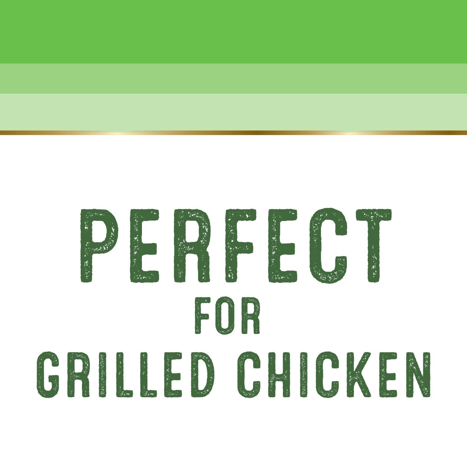 Pollo Asado Seasoning Mix, 12.5 oz – Flavorful Chicken Spice Blend (Pack of 12)