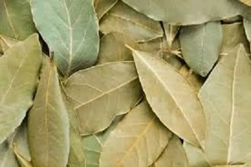 Tez Patta Bay Leaf Whole Organic (Tez Patta) – Free Shipping