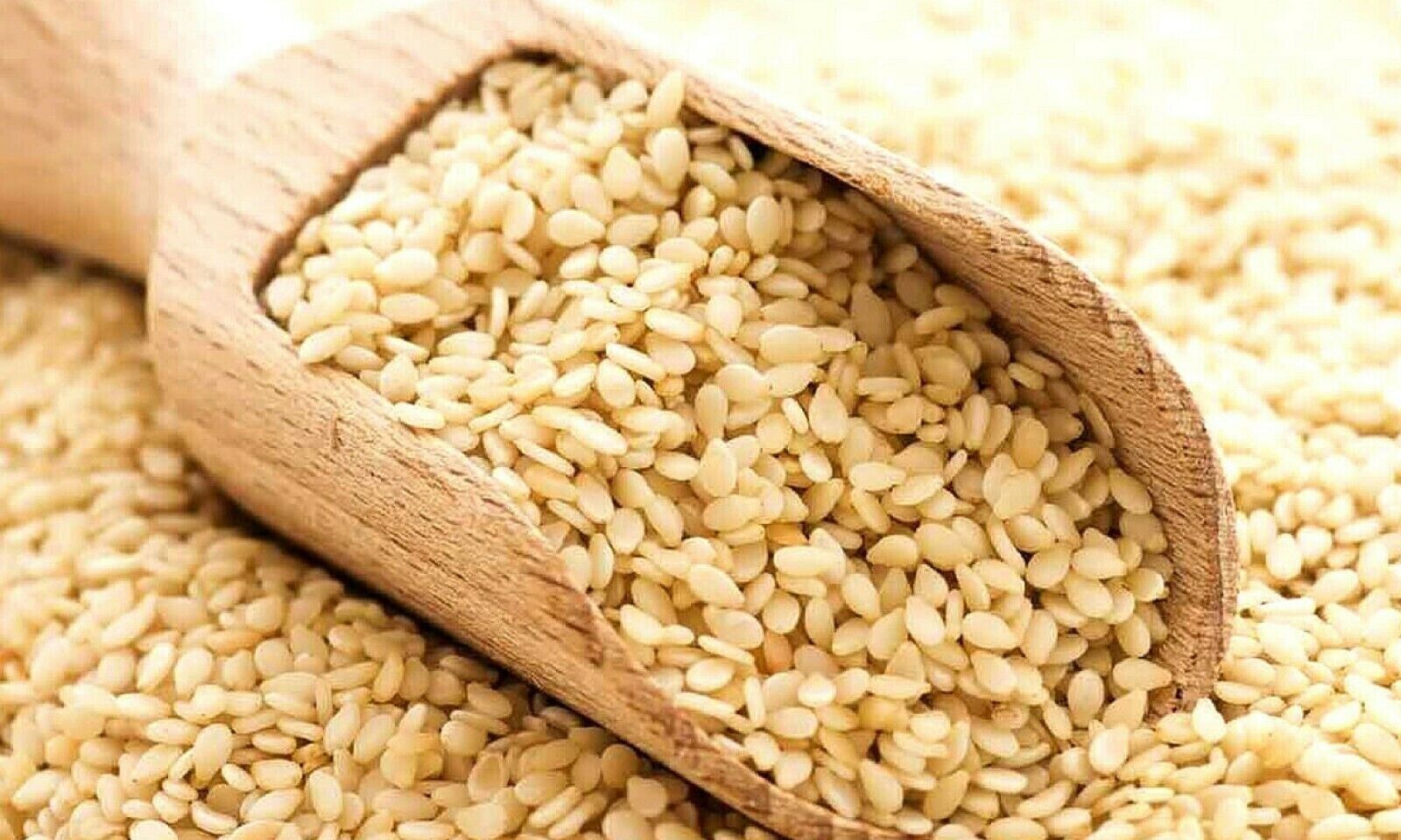 Sesame Seeds White Hulled Seed Bulk – 200g 400g 1kg 2kg 5kg 10kg 20kg Food Grade