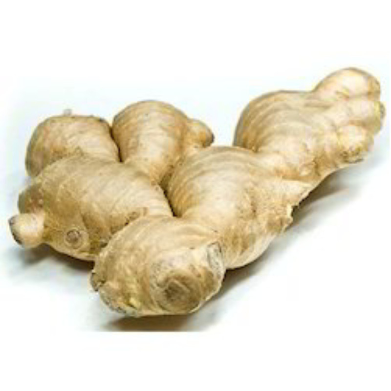 Dried Ginger Root Slices Organic 100% Pure Natural Premium Quality Ceylon New