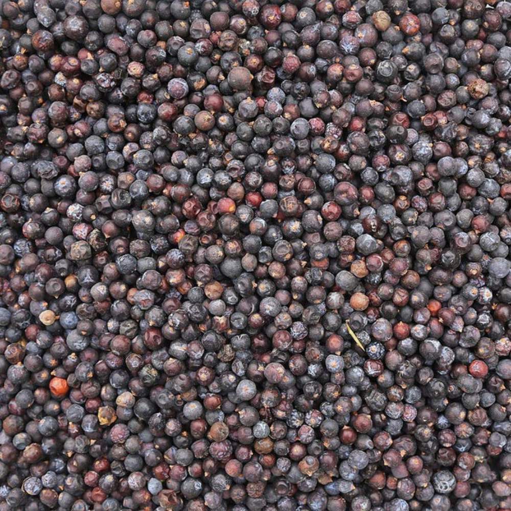 Organic Juniper Berries – Elevate Your Wellness & Spirituality