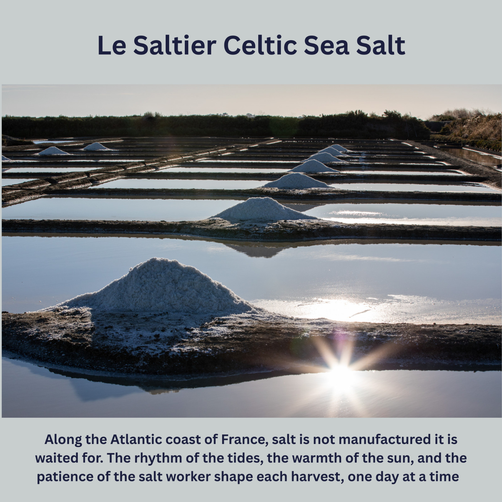 Fine Ground French Mineral Celtic Unrefined Sea Salt (1.1 lbs) 100% Organic
