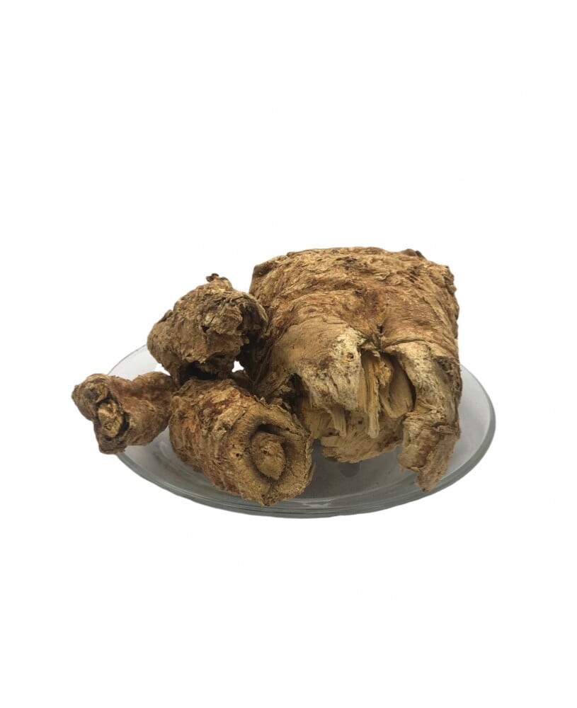 200 g X Ferula hermonis شرش الزلوع – Free Shipping