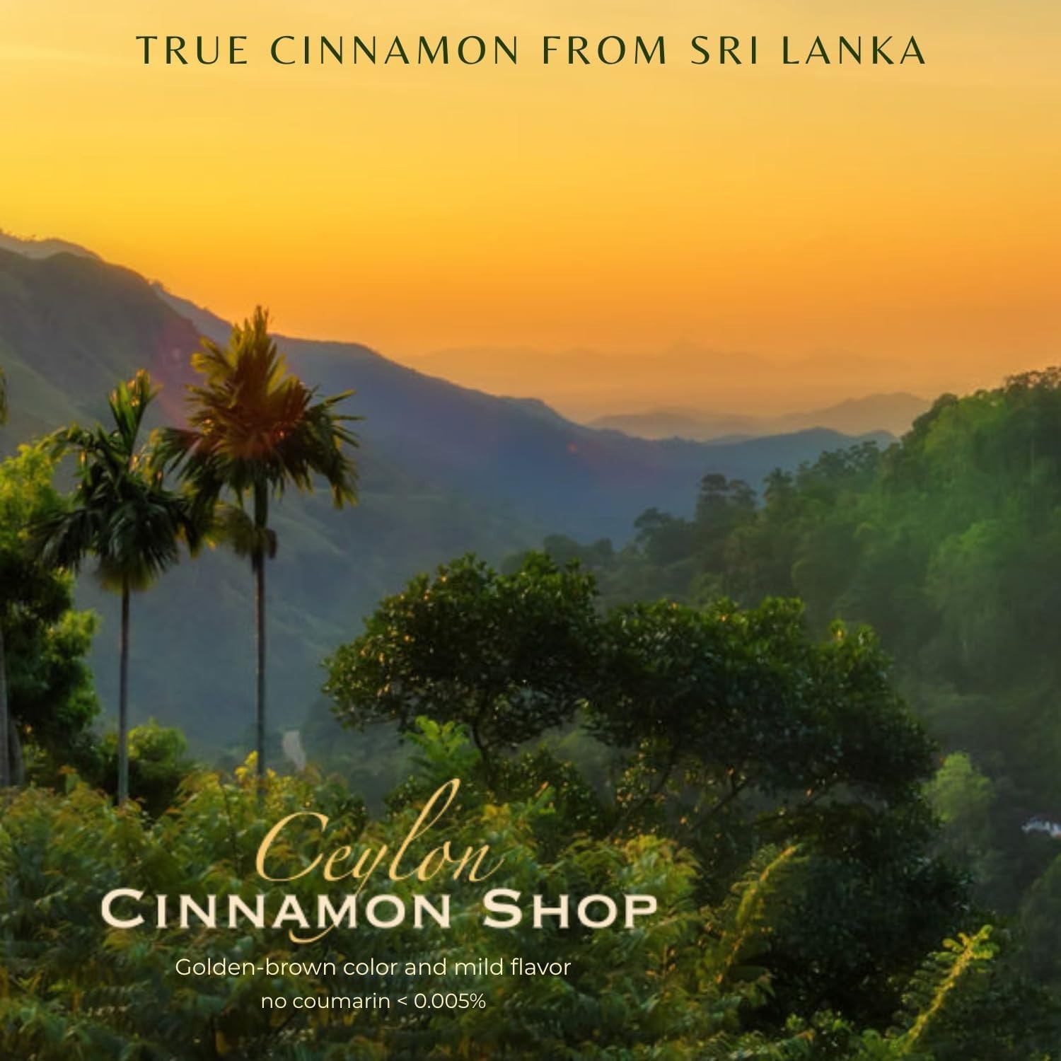 Organic Fine Ceylon Cinnamon Powder – 8 Ounces, Perfect for Baking & Smoothies