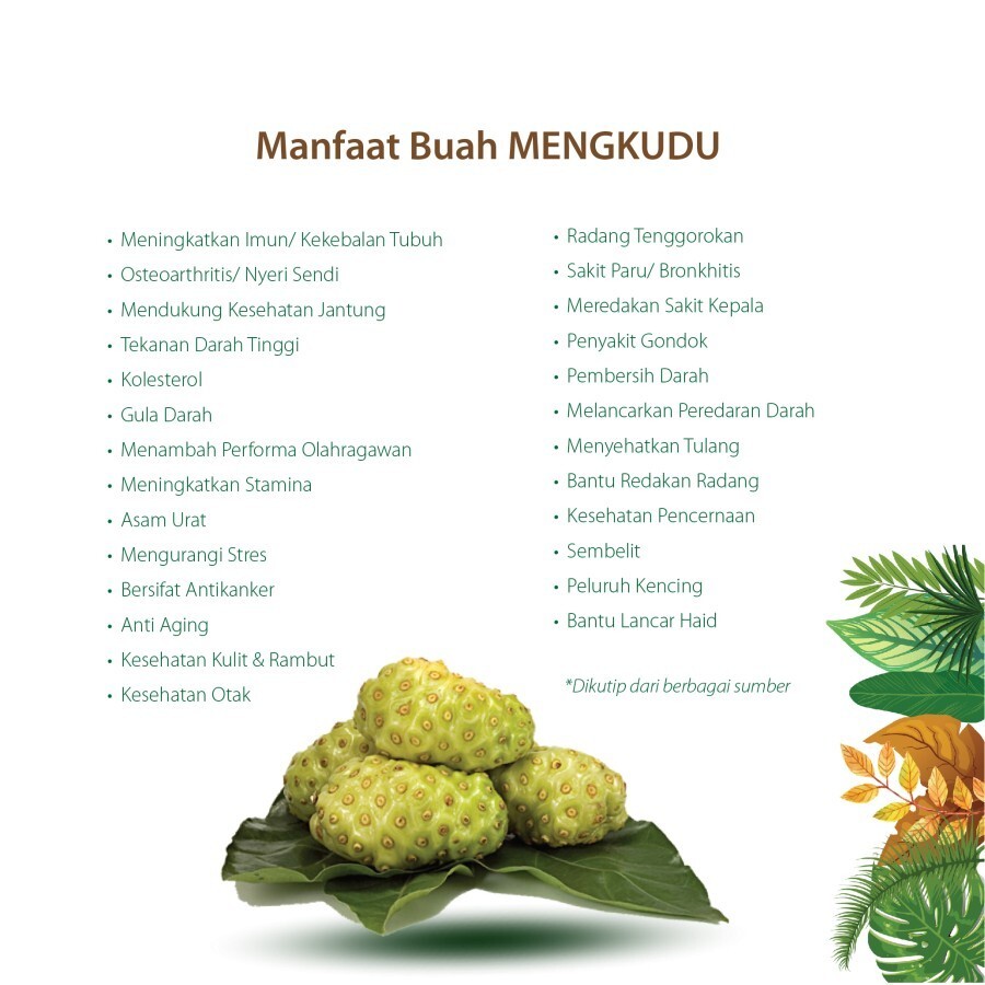 Noni Fruits 100 Capsules Organic Herbs Spices Fresh Pure Hygienic Premium