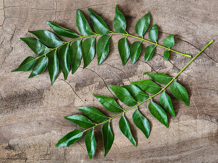 Fresh Dried Organic Curry Leaves Natural 100% free shiping