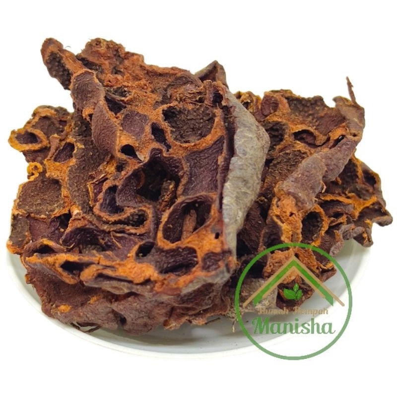 Sarang Semut Papua 100g Wild Dried Chunk Indonesian Botanical Tea