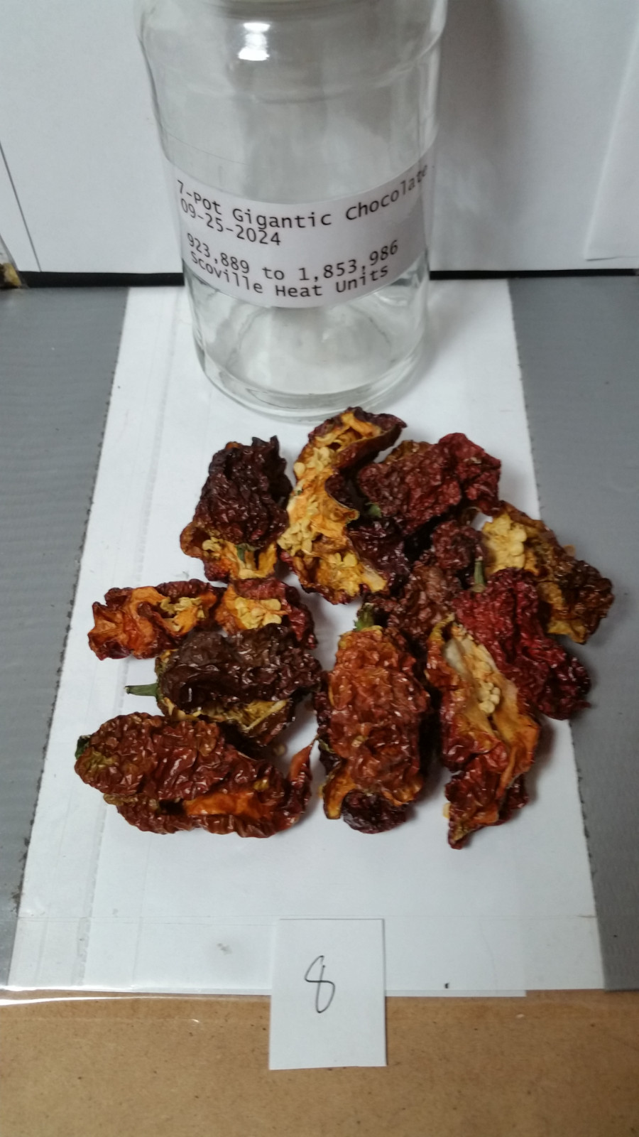 Super Hot Chili Pepper Pods ; Dried ; Organic ; Stored Cool and Dark, Sept. 2024