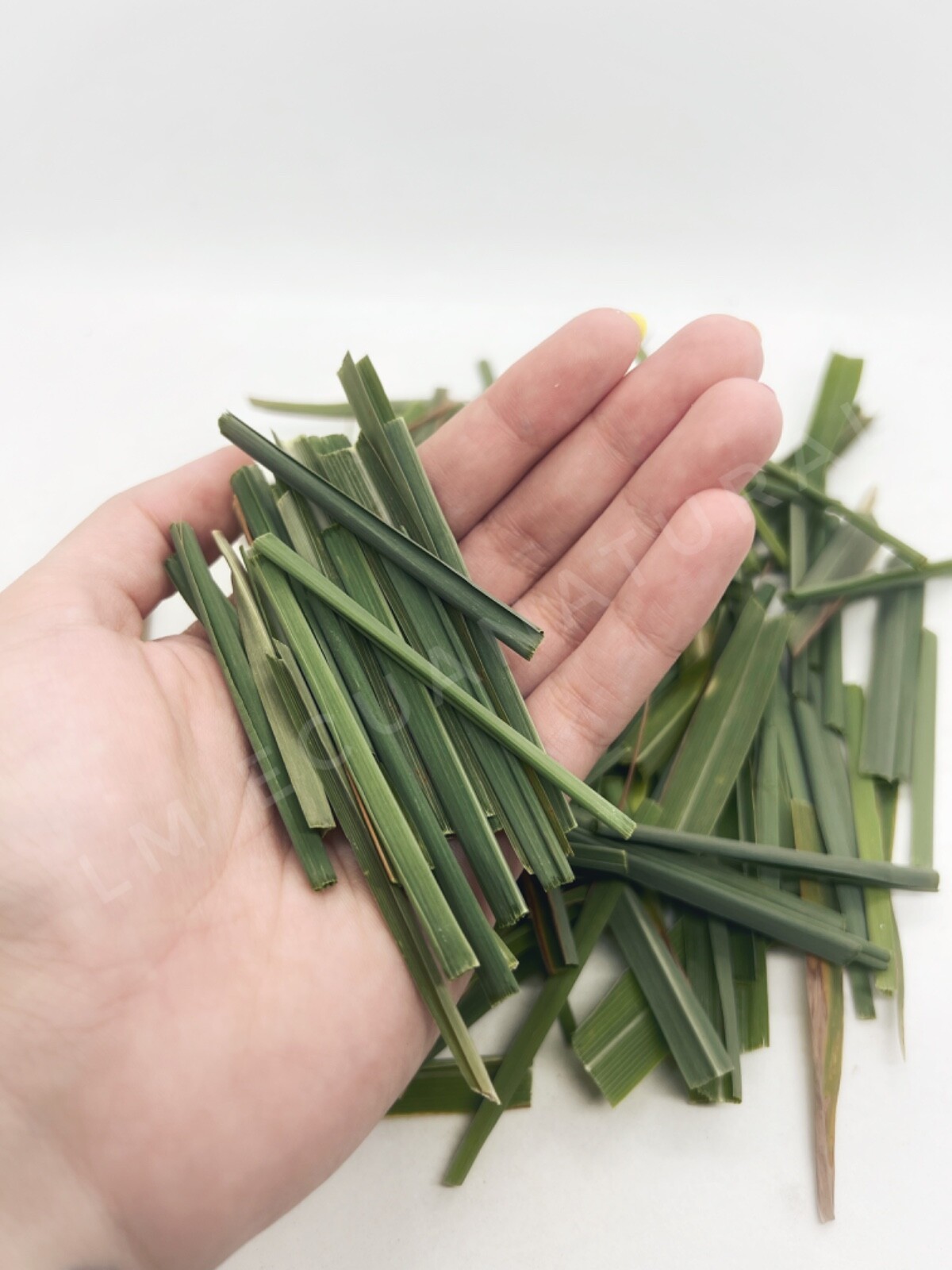 Organic Lemongrass aromatic leaves cuttings 2-3” locally grown