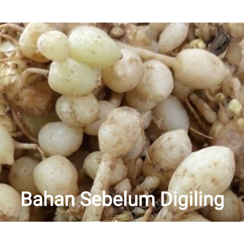 White Turmeric Powder 1000g Botanical Ingredient For Blending