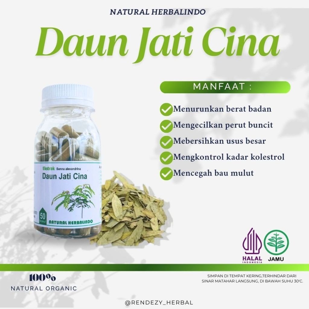 Senna (Daun Jati Cina) Capsules 50pcs 500mg Natural Indonesia