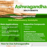 Ashwagandha Tea 30 Tea Bags Botanical Blend For Home Brewing Daily Ritual