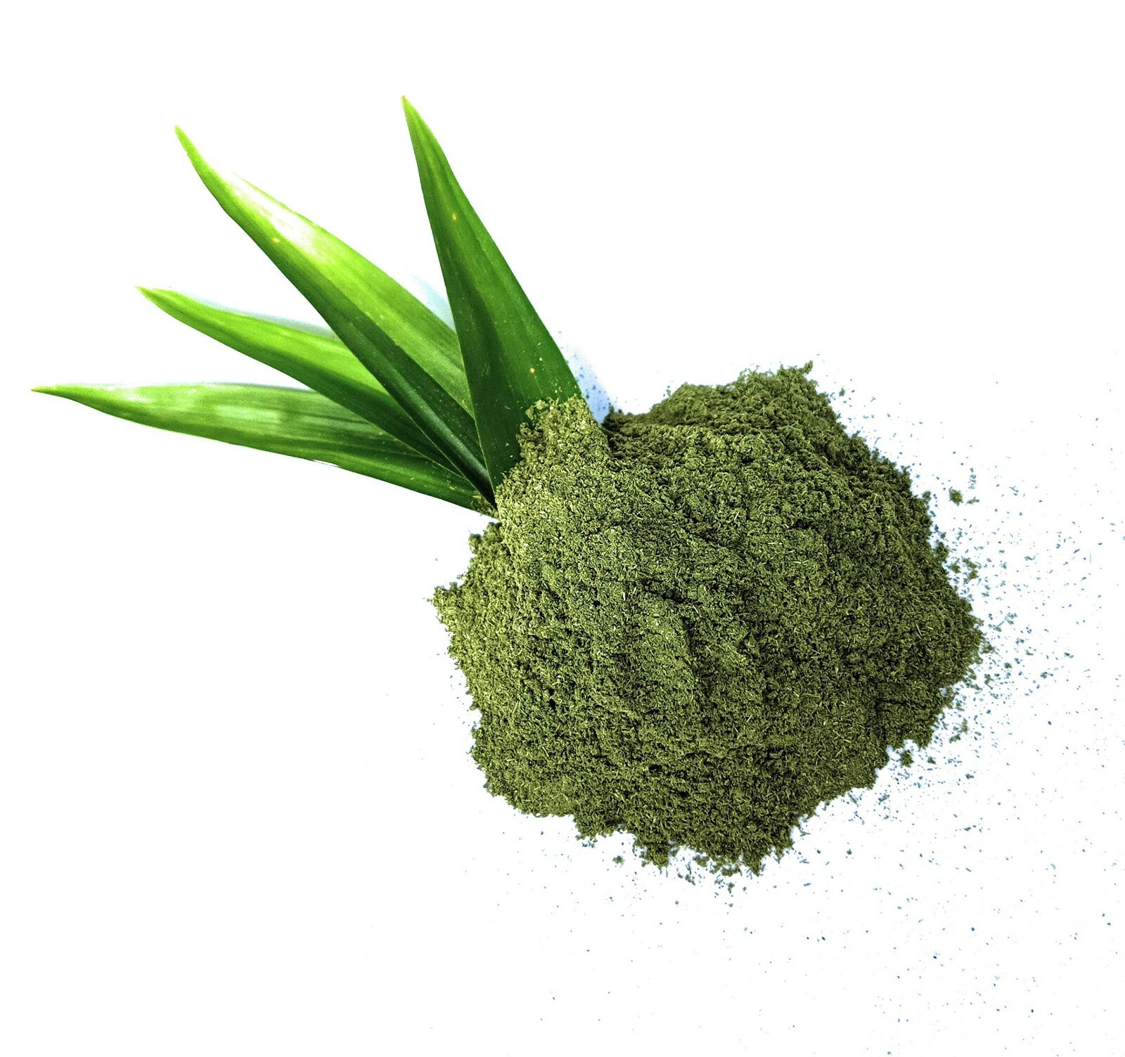 100% Organic Ceylon Dehydrated Pandan Leaves -Rampa- Powder & Pieces 100%Natural