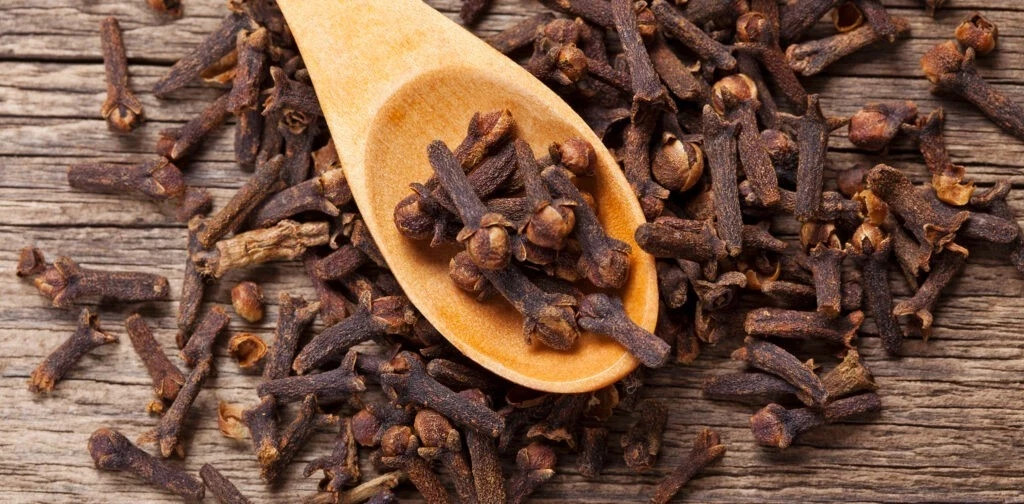 Indian Natural Whole Clove Cloves, Lavang, Laung Untreated-100 gm FREE SHIPPING