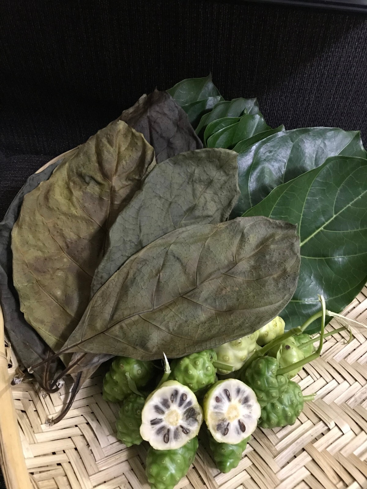 50pcsDry Noni leaves herbal tea 100% organic healthy drink (morinda citrifolia)