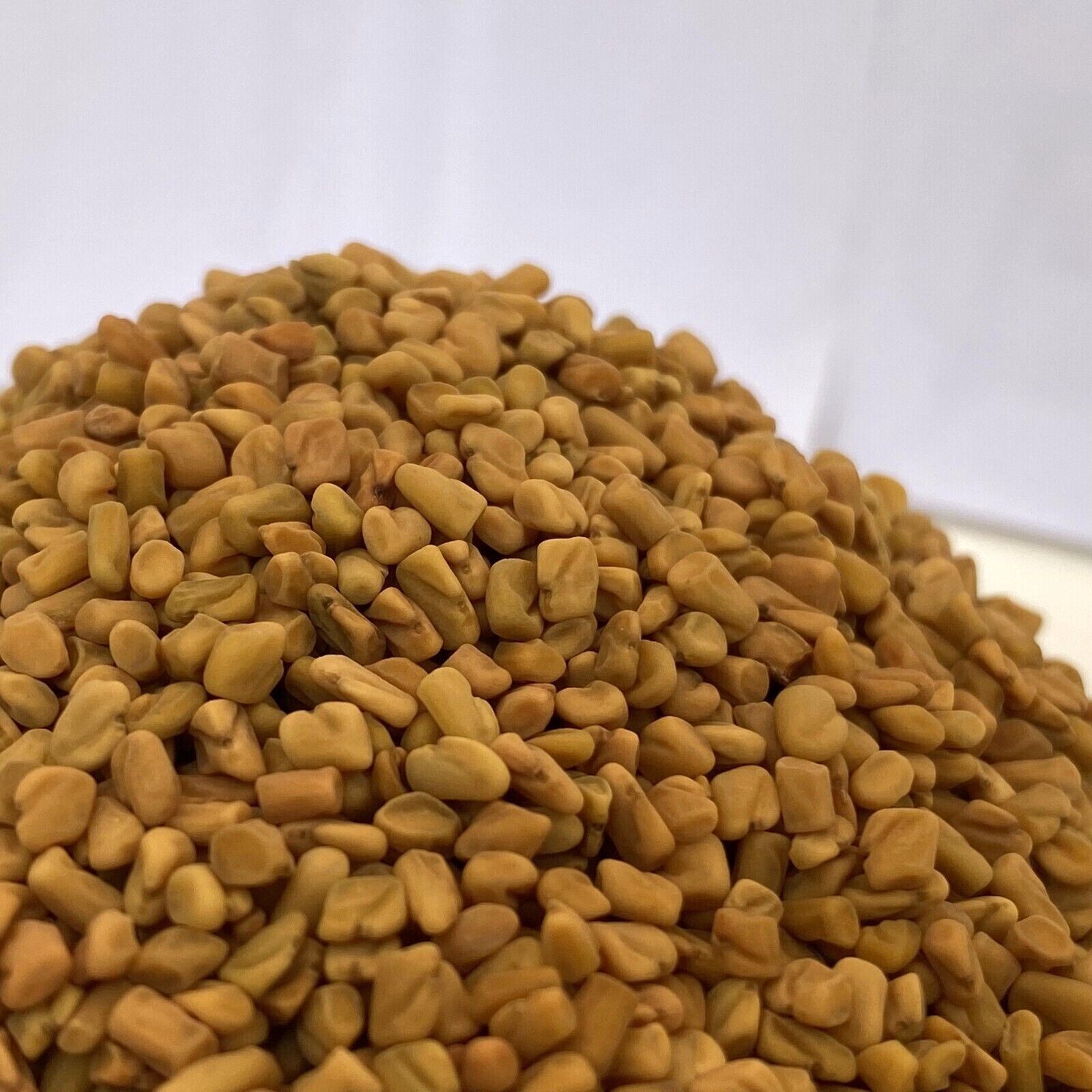 Dill Fenugreek Seed Methi Trigonella Quality Whole Organic Oz Ceylon 100%Natural