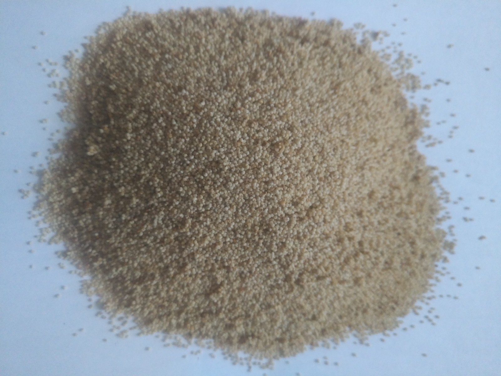 Organic White Poppy Seeds, Khaskhas Seeds. 100g