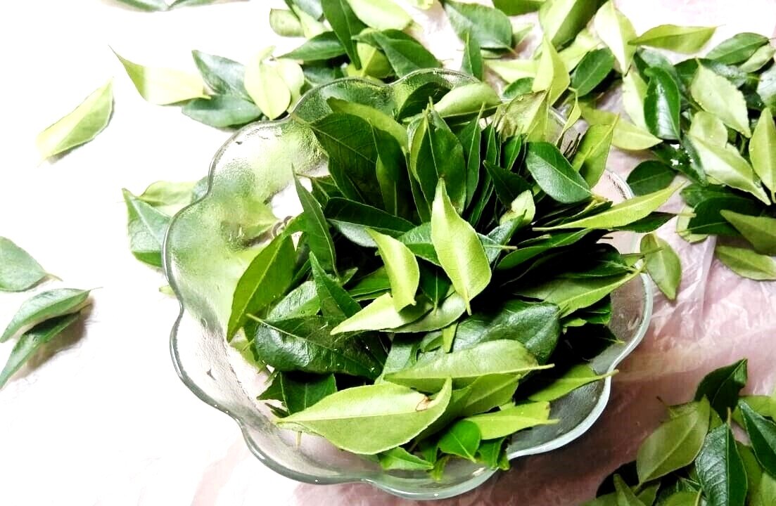 Natural Organic Dried Curry Leaves 100% Ceylon Fresh Spices,100g