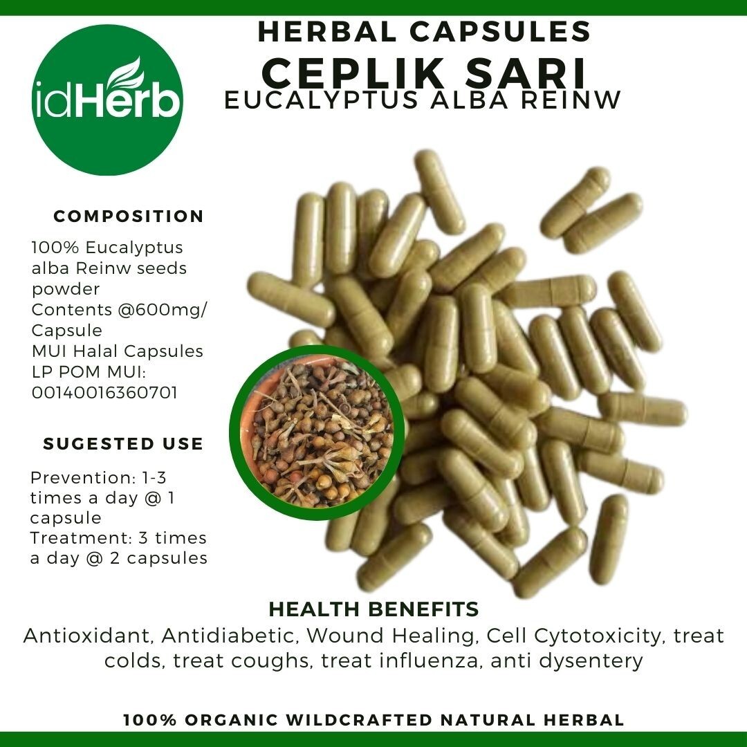 Capsules Eucalyptus Alba Reinw Ceplik Sari Natural herbal Organic 100% Herbs