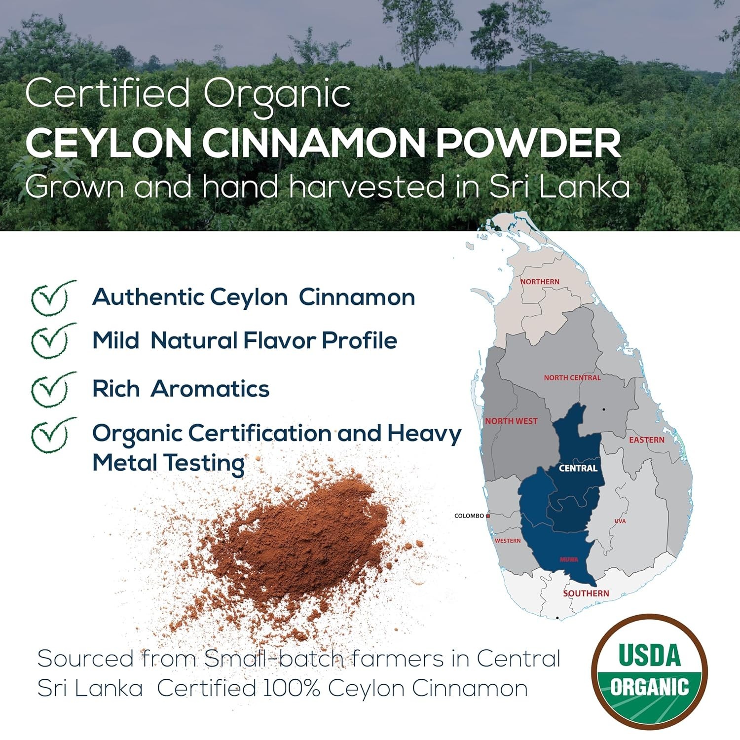 Single Estate Organic Ceylon Cinnamon – Ethically Sourced, Sweet Flavor in Jar
