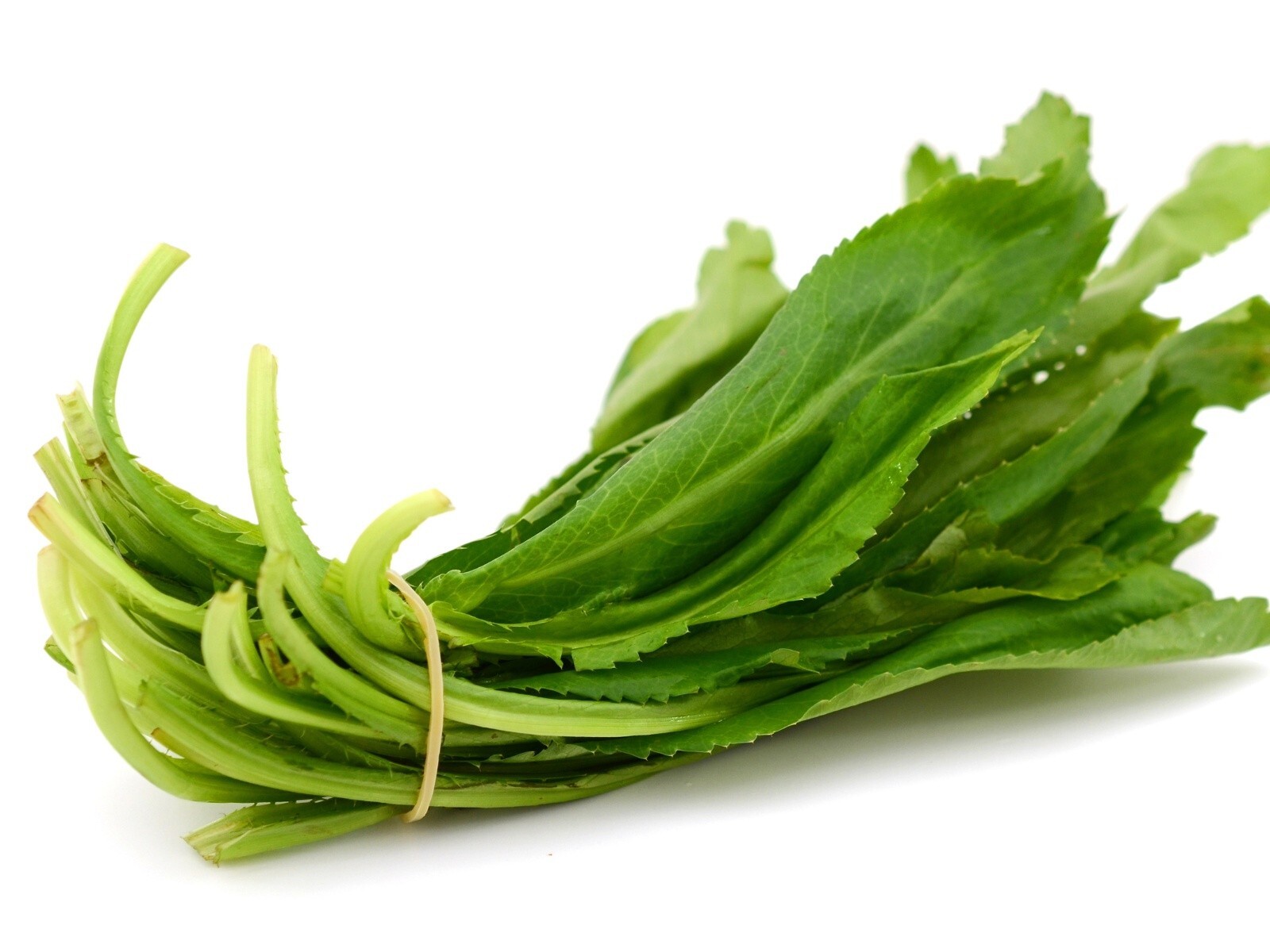 Premium Dried Culantro 20 Leaves & Roots – Culinary & Herbal