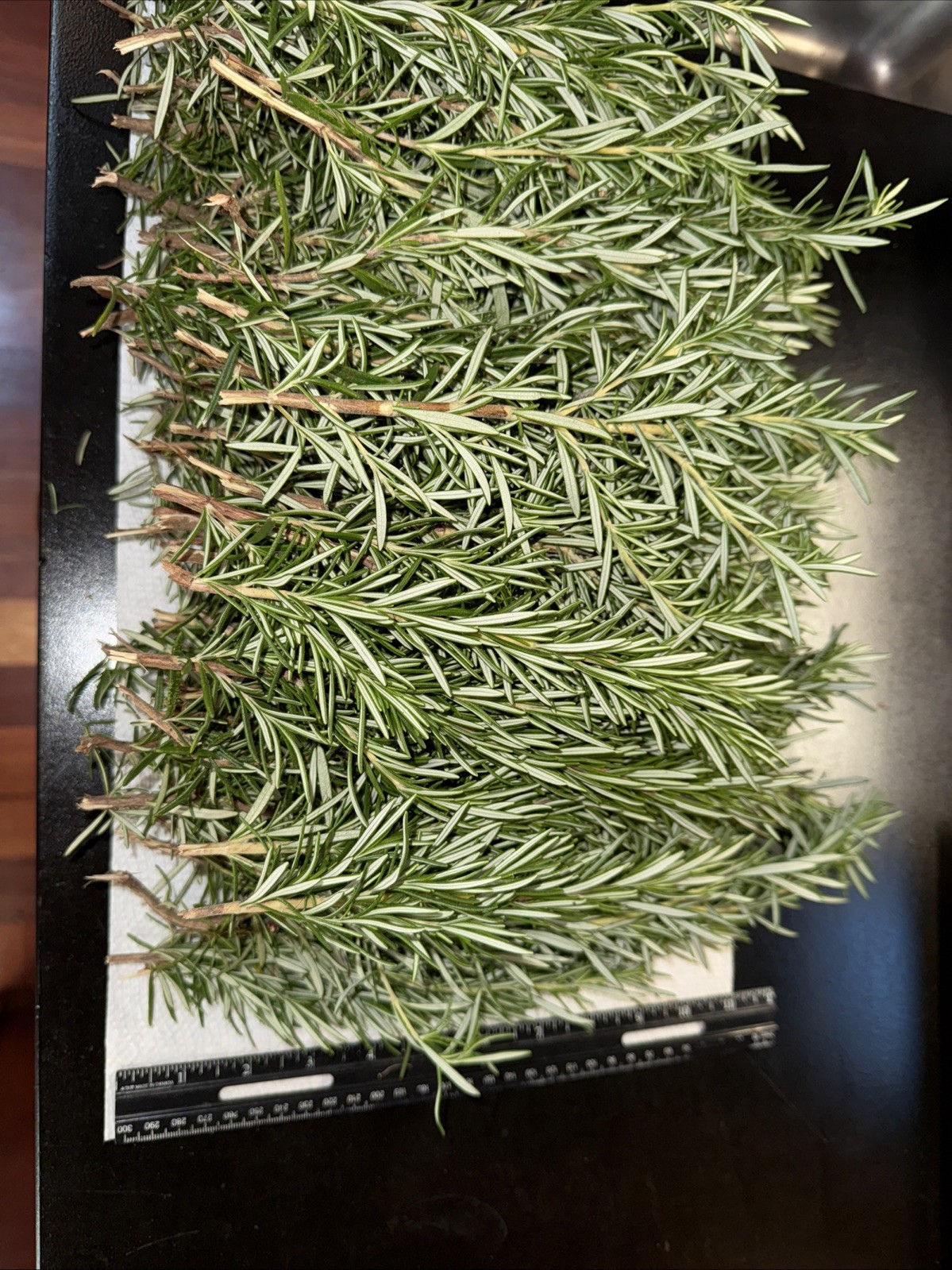 100 Stems Fresh Organic Rosemary, 100 Cuts Fresh To Order For $90.00,USA