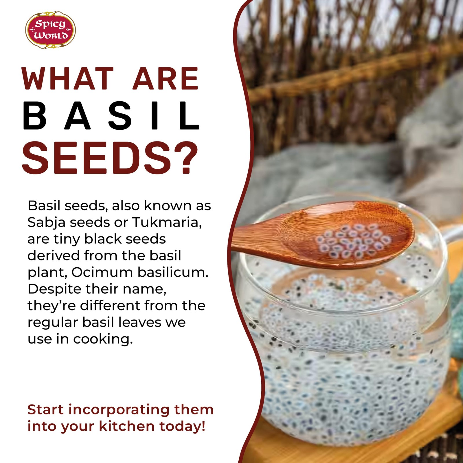 Spicy World Basil Seeds 14 Ounce Bag – Tukmaria, 14 (Pack of 1), Brown