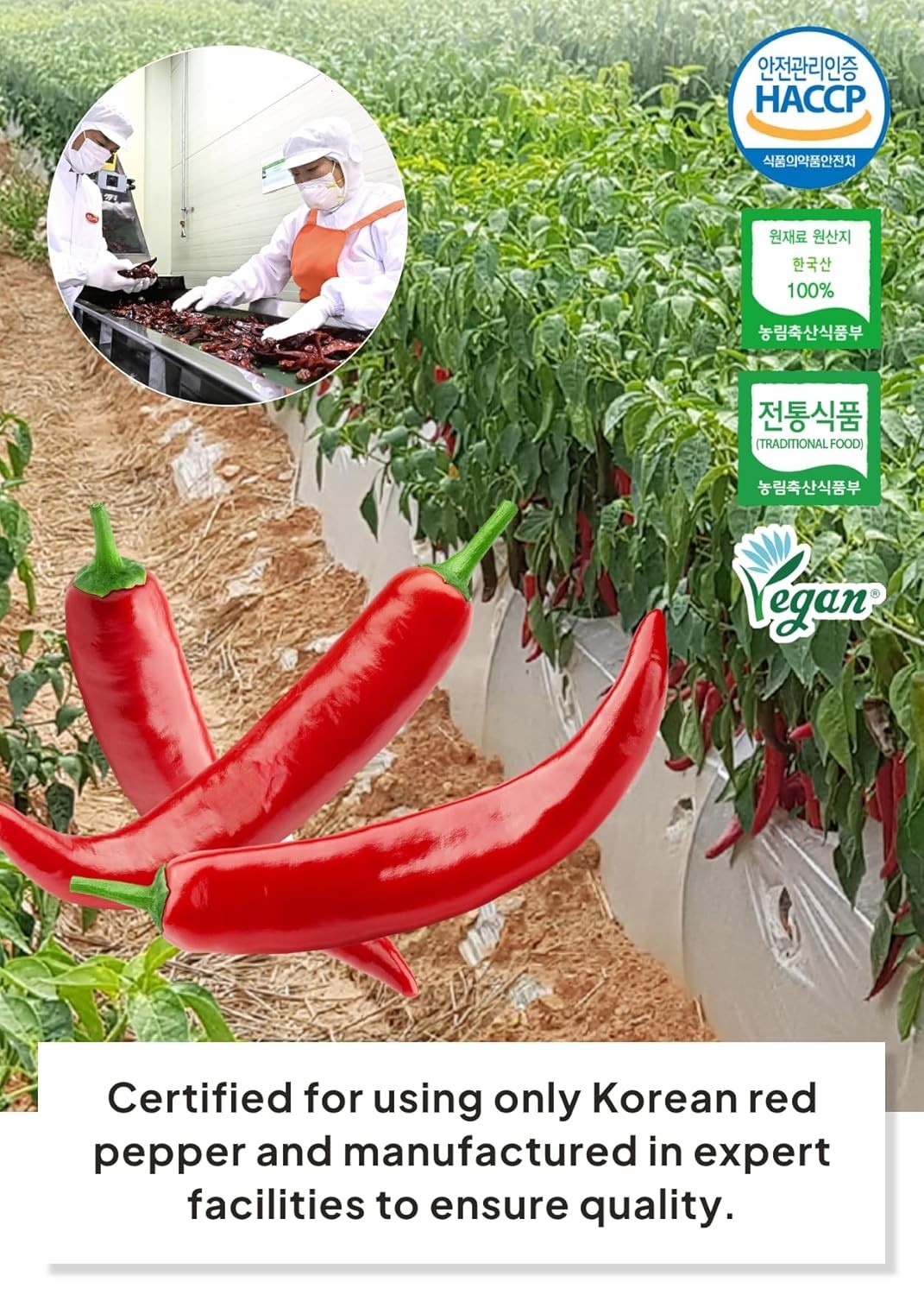 Korean Chili Powder Bundle, Fine and Coarse Red Pepper for Cooking Essentials