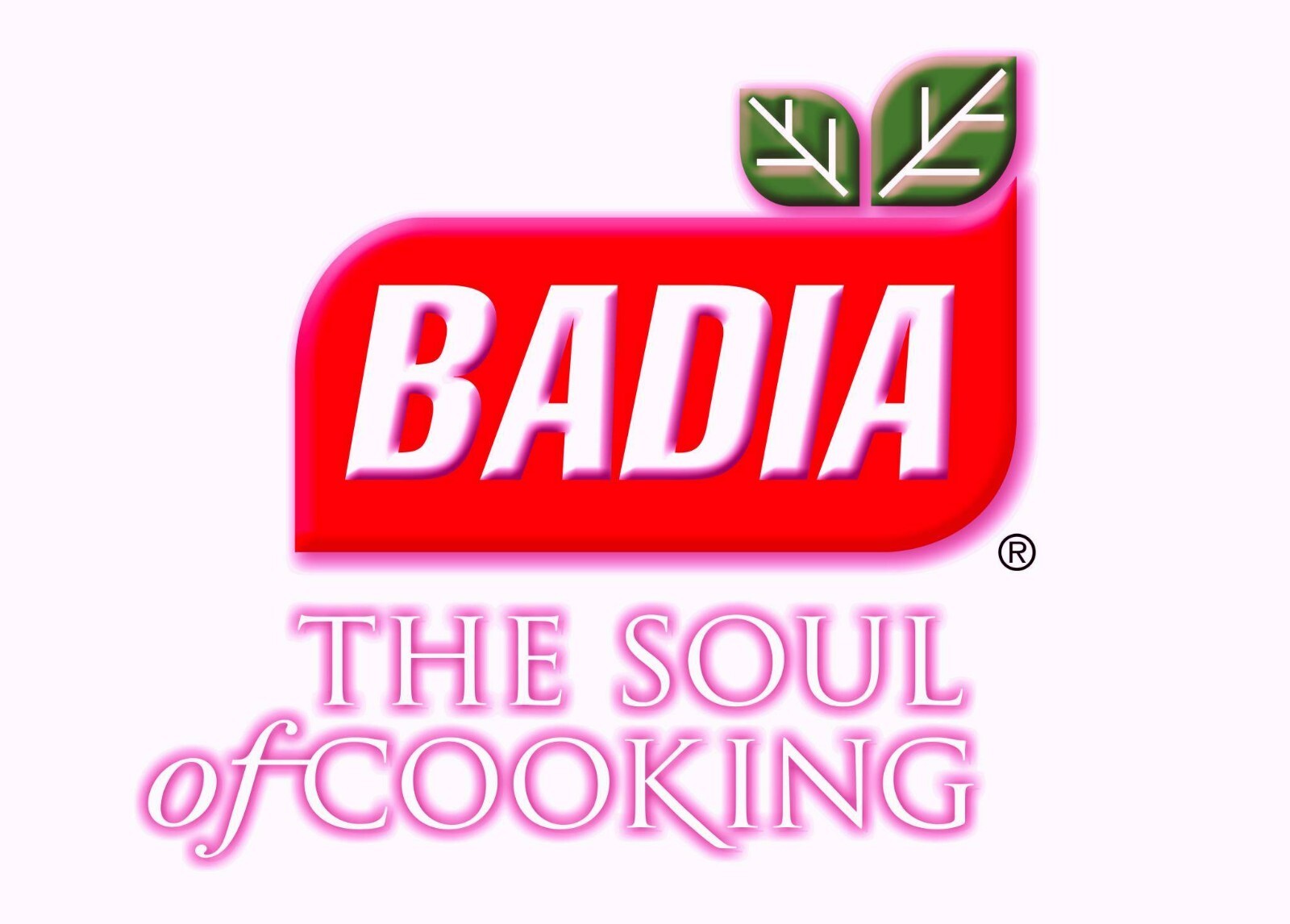 Badia® Organic Minced Onion / Cebolla Finamente Picada 2 Oz