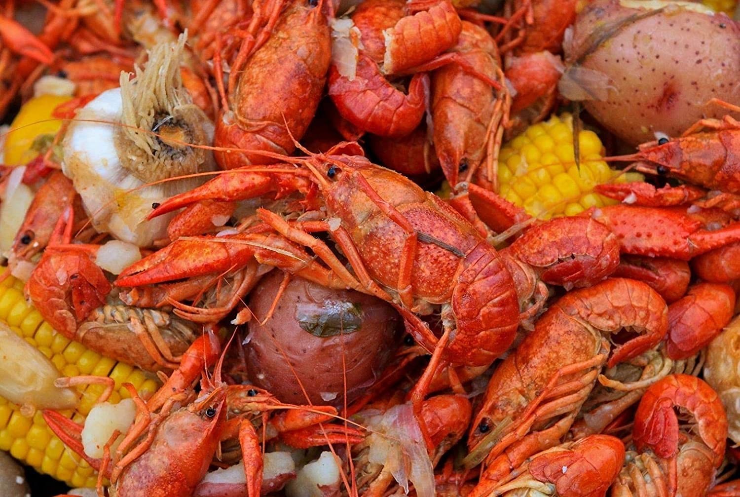 Chefs Quality Cajun Seasoning 6 LB
